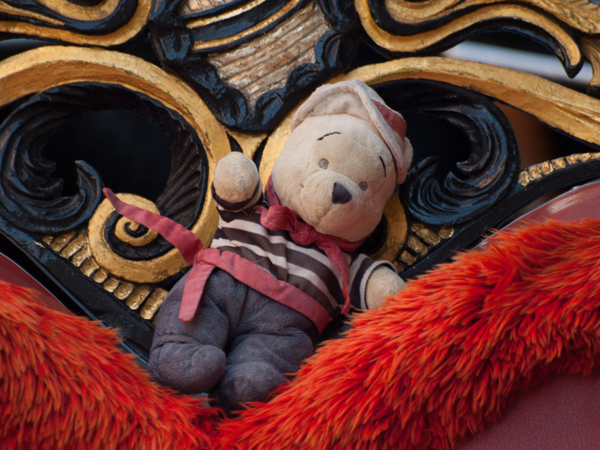 Venetian Bear